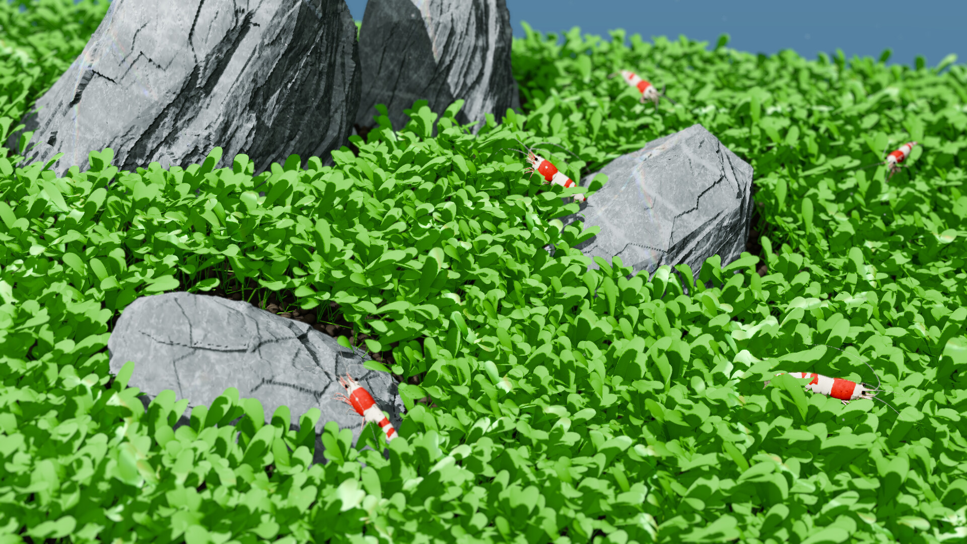 Bee Shrimp Aquarium screenshot 3