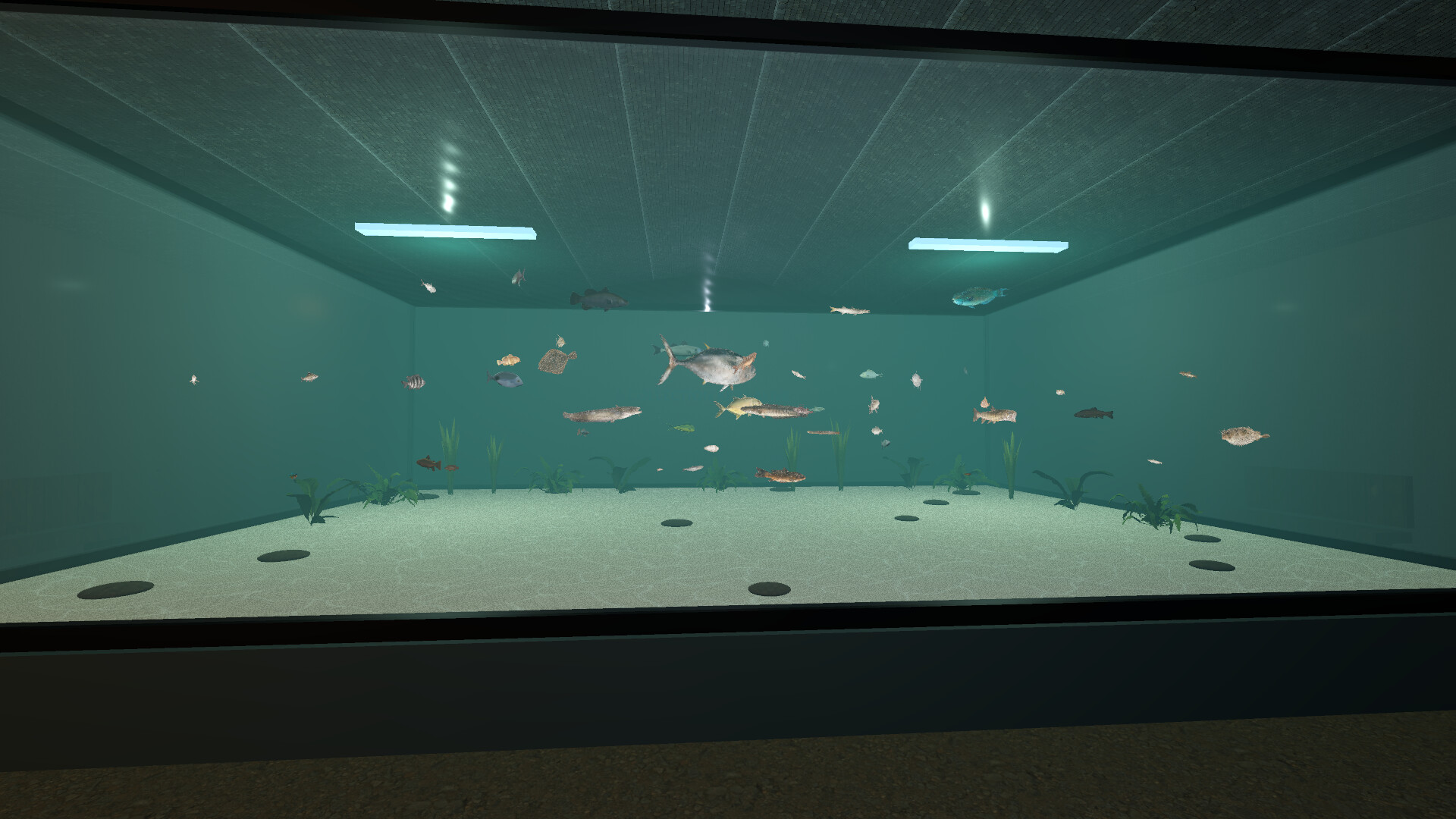 Nessi screenshot 4