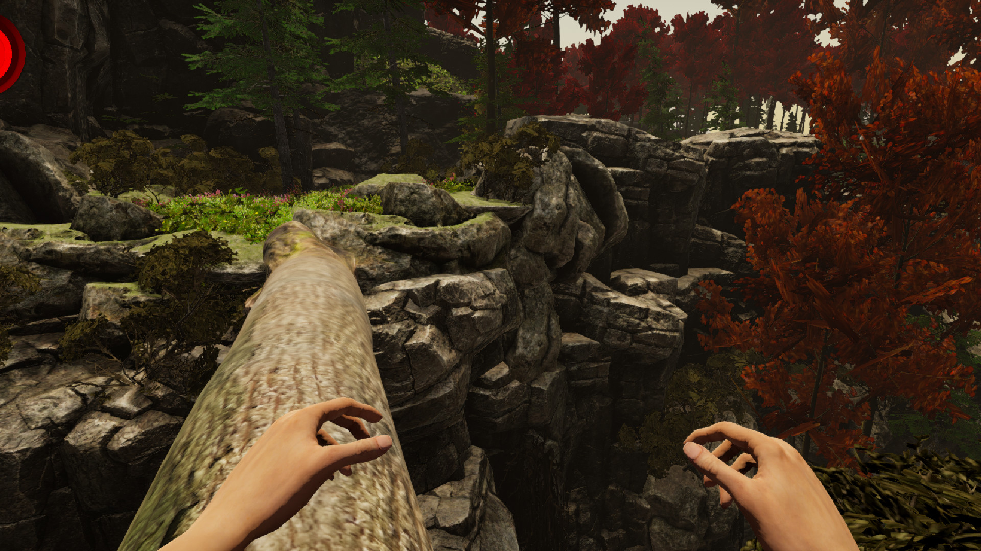 Gnome Lake screenshot 4