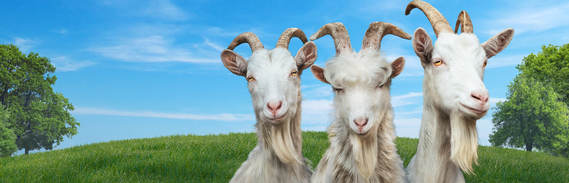 Игра Goat Simulator 3