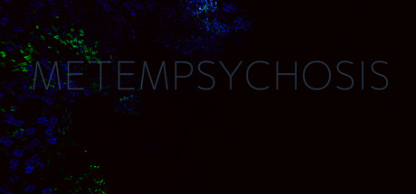 Cover art from Metempsychosis
