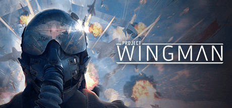 Где находятся сохранения к игре Project Wingman
