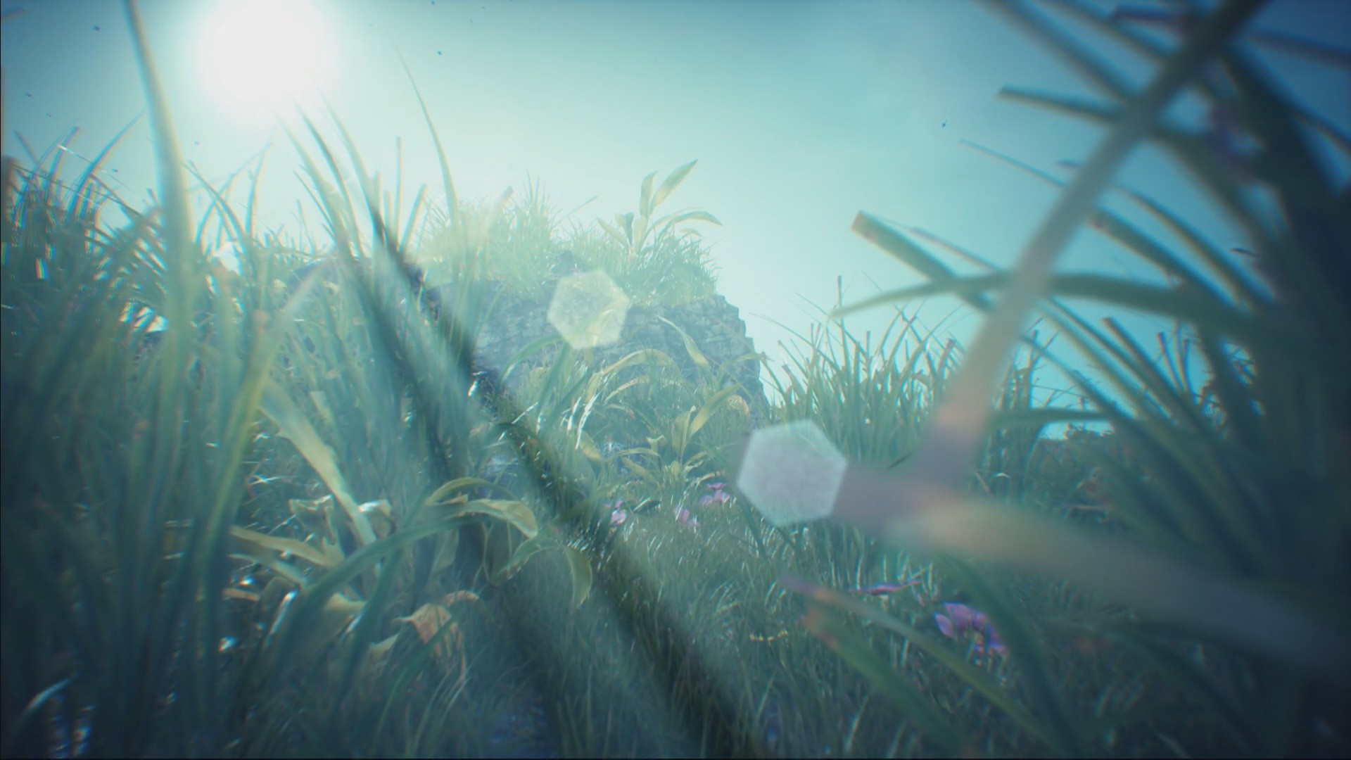 Adome trailer