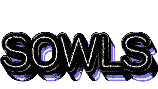 Hotel Sowls