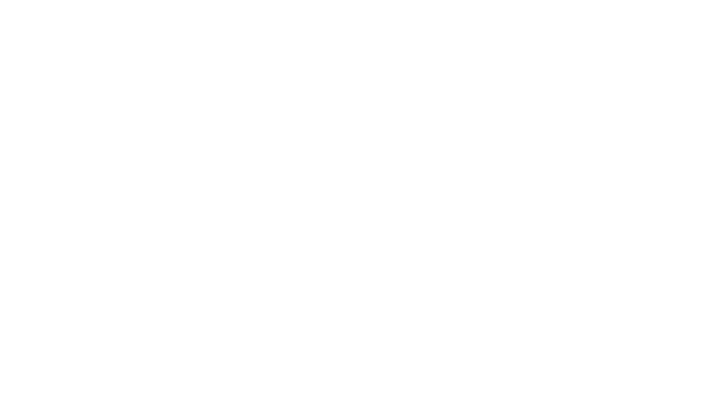 AVICII Invector