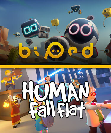 Human fall bipedal